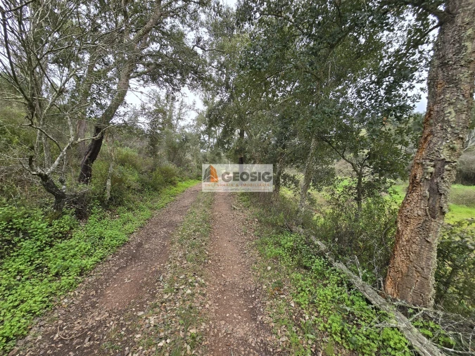 Quinta T1 para Venda em Reliquias Foto 36