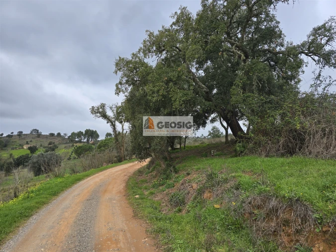 Quinta T1 para Venda em Reliquias Foto 35