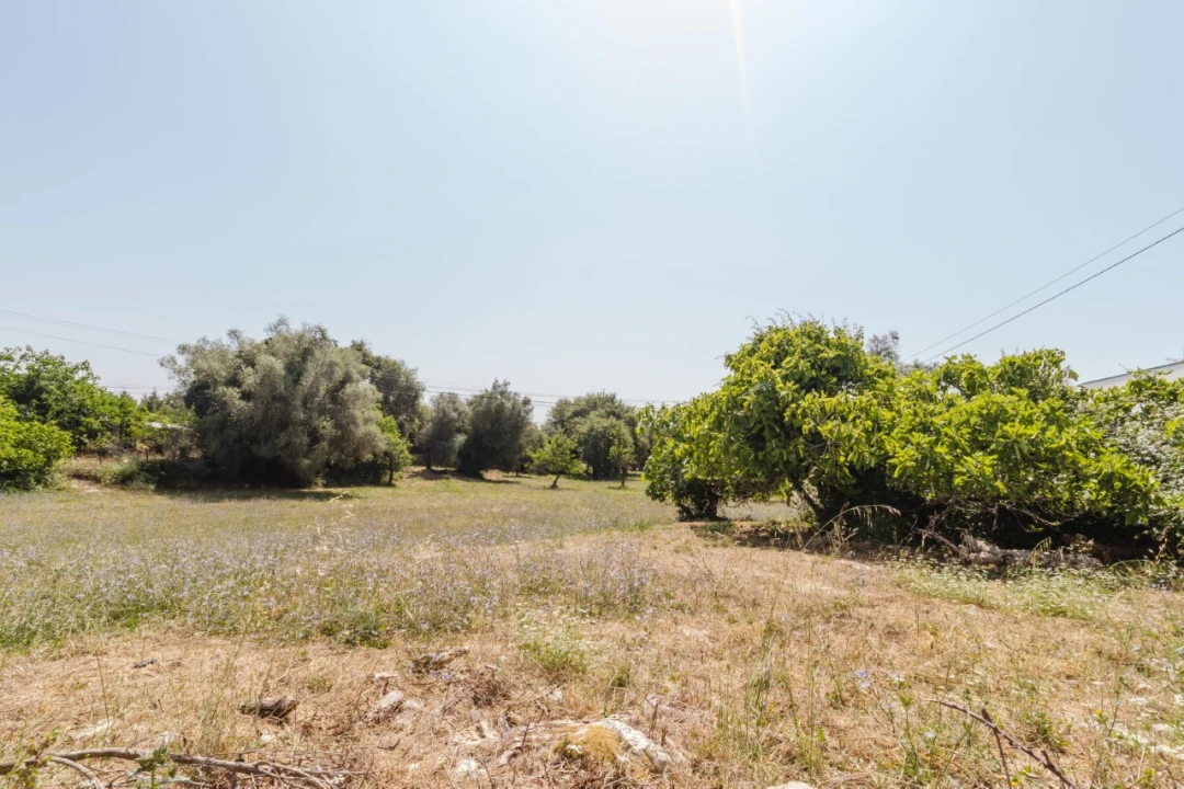 Terreno para Venda em Portunhos e Outil Foto 2