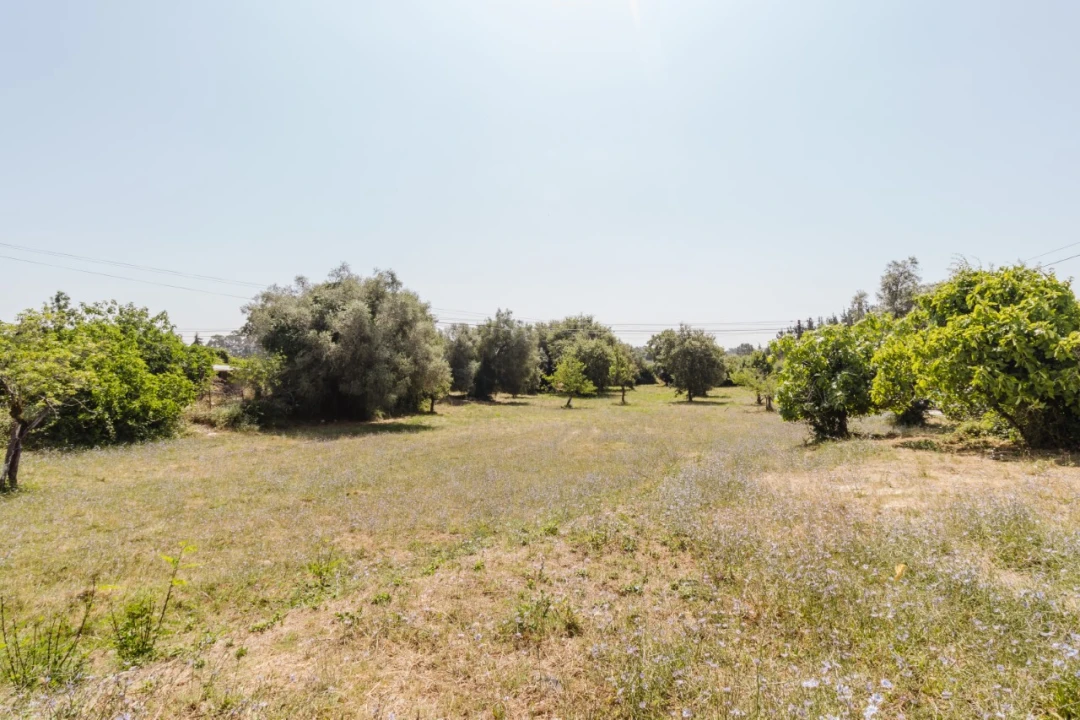Terreno para Venda em Portunhos e Outil Foto 3