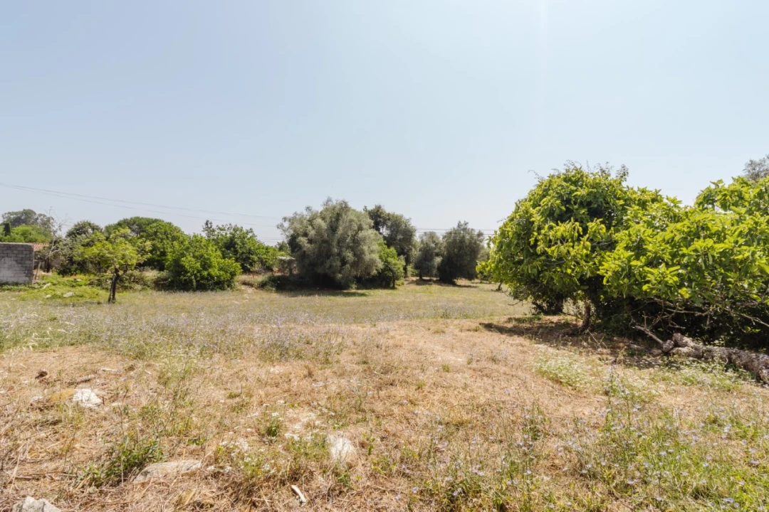 Terreno para Venda em Portunhos e Outil Foto 4