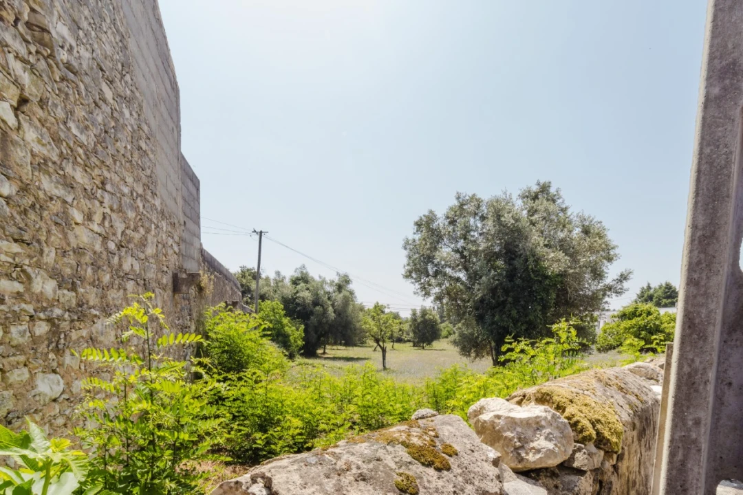 Terreno para Venda em Portunhos e Outil Foto 10