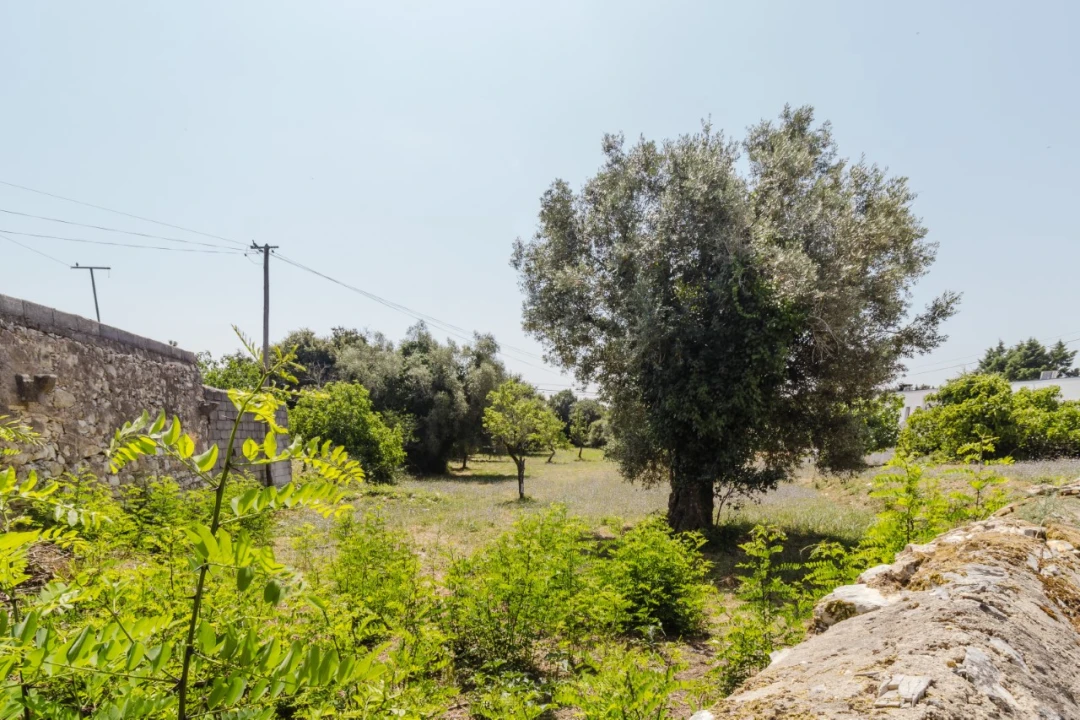 Terreno para Venda em Portunhos e Outil Foto 11