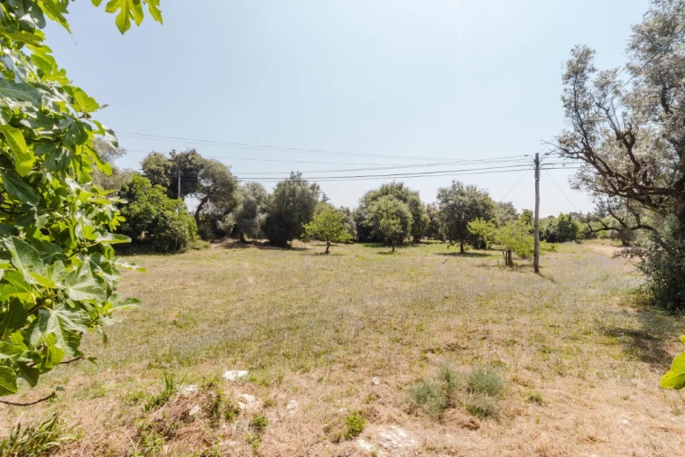 Terreno para Venda em Portunhos e Outil