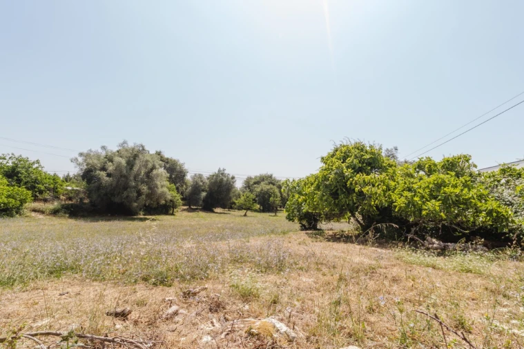 Terreno para Venda em Portunhos e Outil Foto 2