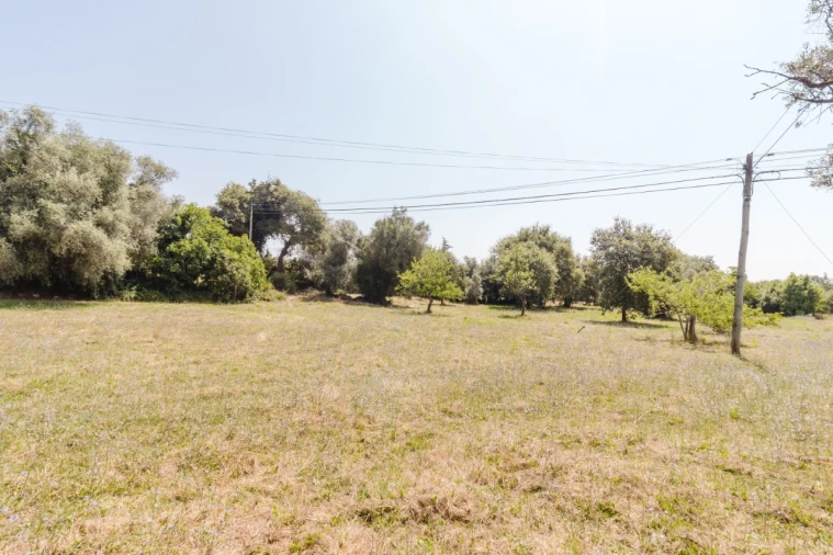 Terreno para Venda em Portunhos e Outil Foto 6