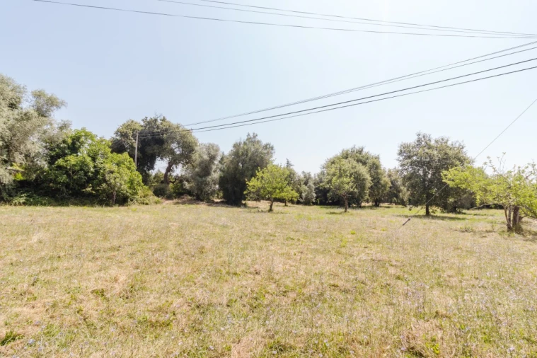 Terreno para Venda em Portunhos e Outil Foto 9