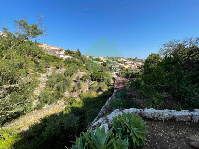 Terreno Agricola ou Rústico para Venda em Reguengo Grande Foto 15
