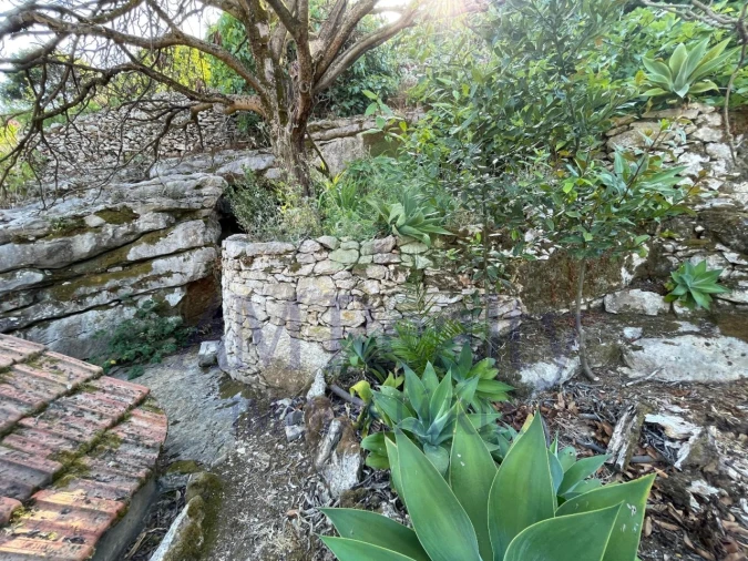 Terreno Agricola ou Rústico para Venda em Reguengo Grande Foto 22
