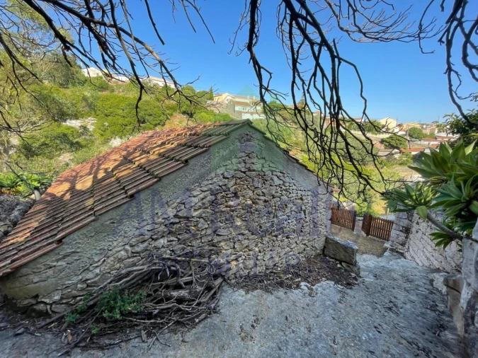 Terreno Agricola ou Rústico para Venda em Reguengo Grande Foto 13