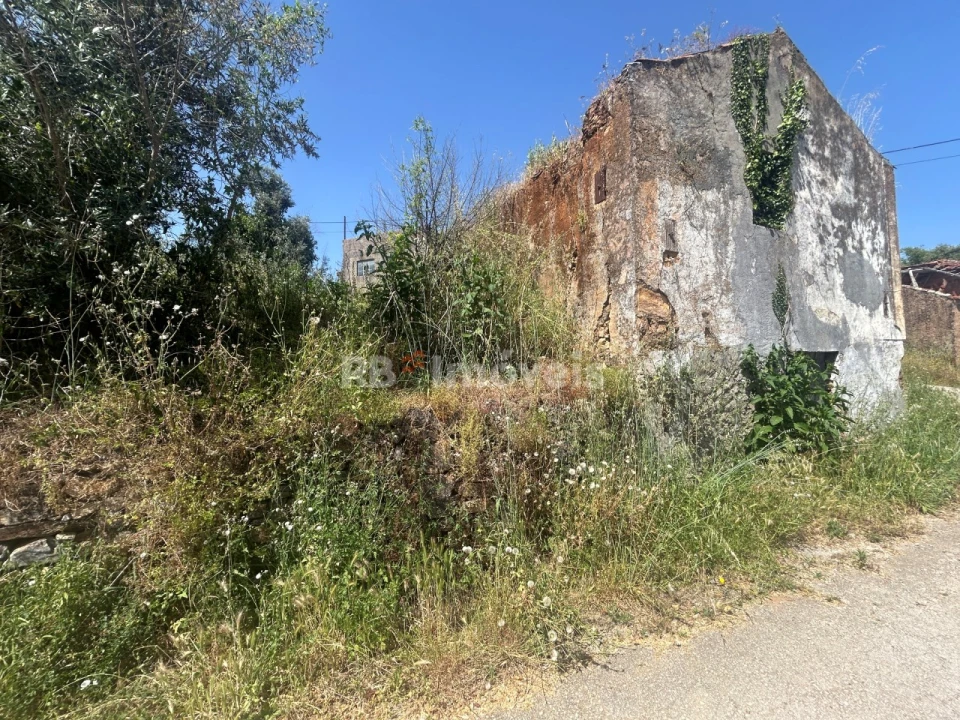 Moradia T3 para Venda em Serra e Junceira Foto 5