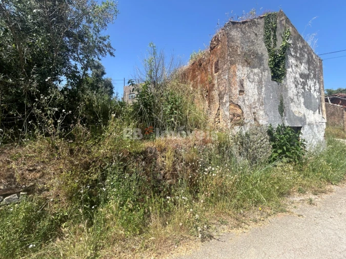 Moradia T3 para Venda em Serra e Junceira Foto 5