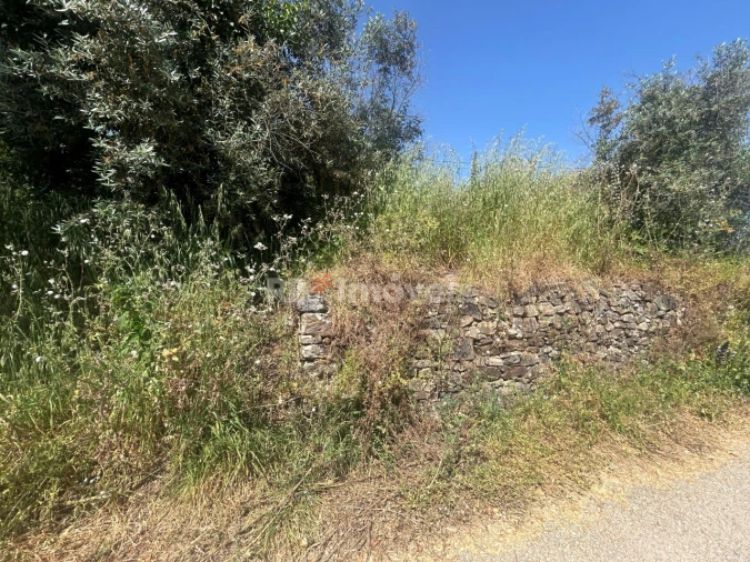 Moradia T3 para Venda em Serra e Junceira Foto 8