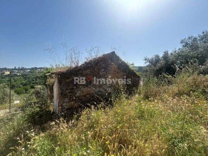 Moradia T3 para Venda em Serra e Junceira Foto 9