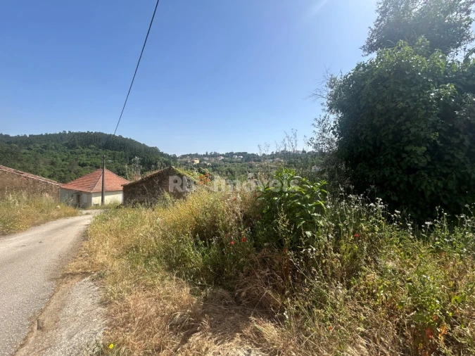 Moradia T3 para Venda em Serra e Junceira Foto 10