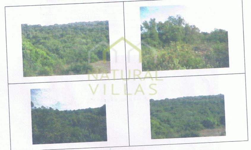 Terreno Agricola ou Rústico para Venda em Loule (São Clemente)