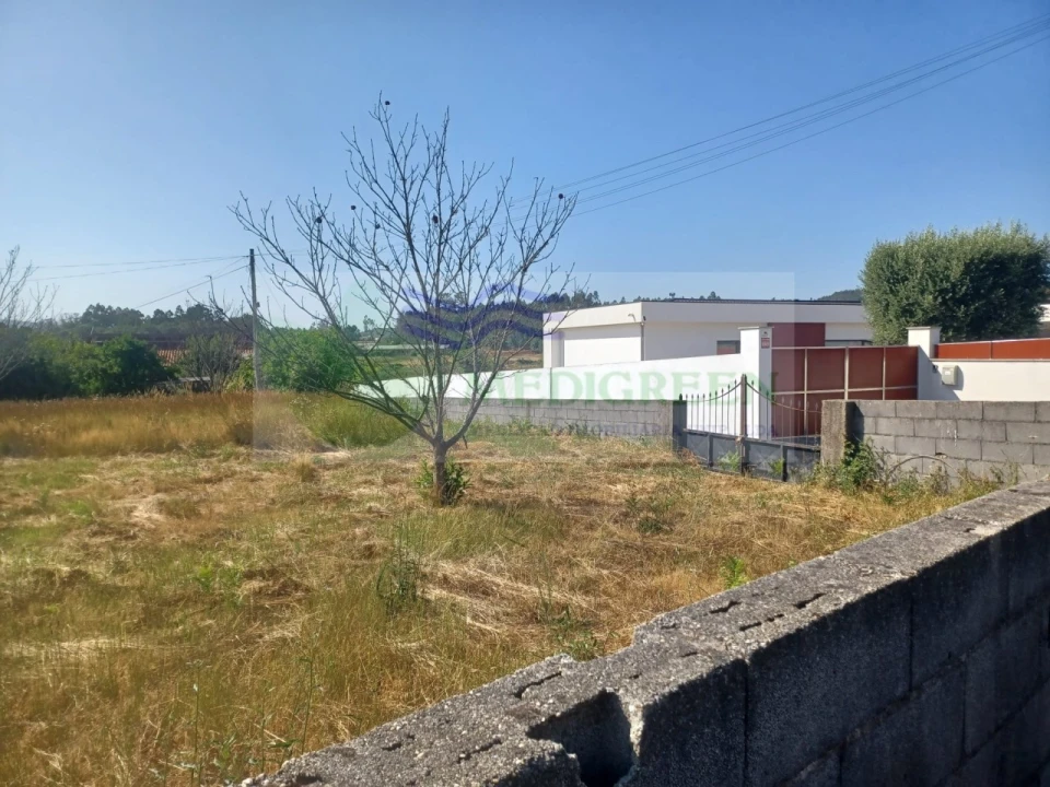 Terreno para Venda em Pessegueiro do Vouga Foto 3