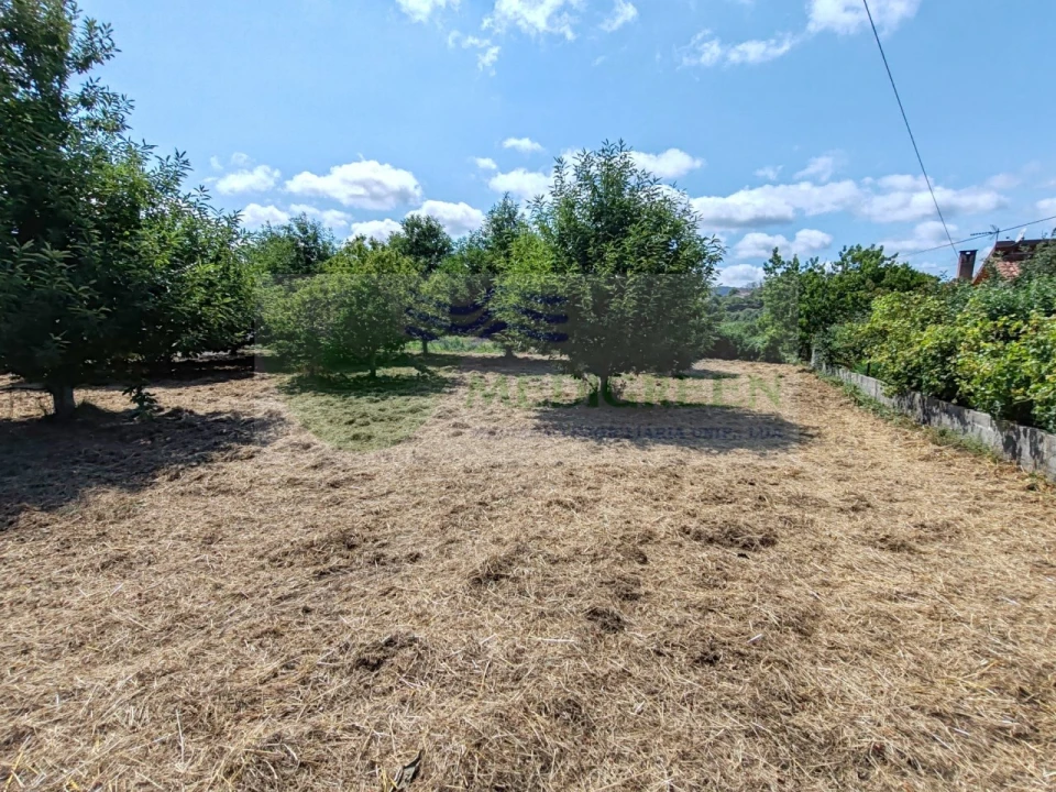 Terreno para Venda em Pessegueiro do Vouga Foto 13