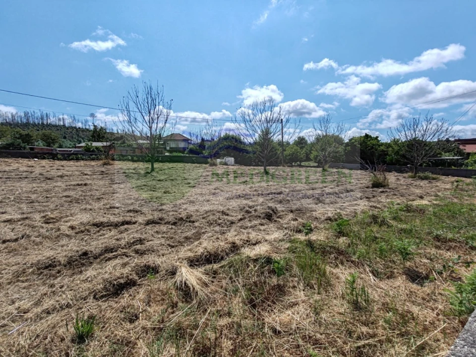 Terreno para Venda em Pessegueiro do Vouga Foto 14