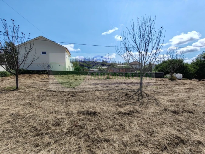 Terreno para Venda em Pessegueiro do Vouga Foto 7
