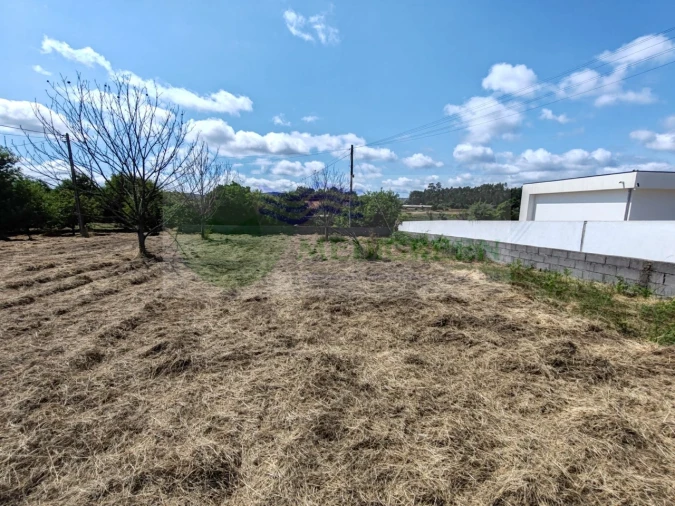 Terreno para Venda em Pessegueiro do Vouga Foto 11