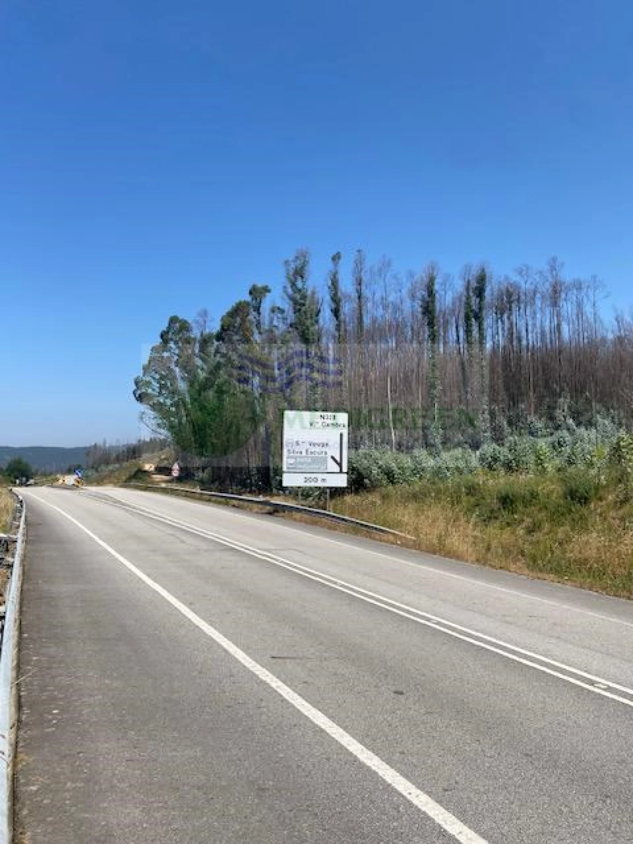 Terreno para Venda em Silva Escura e Dornelas Foto 4