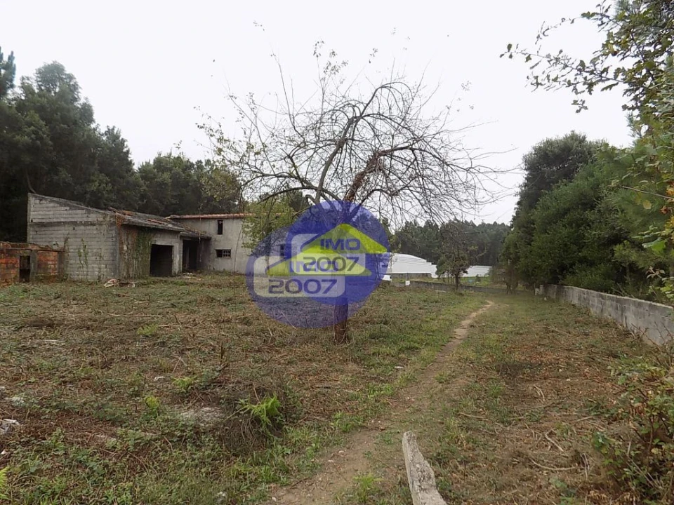 Terreno para Venda em Lourosa Foto 11