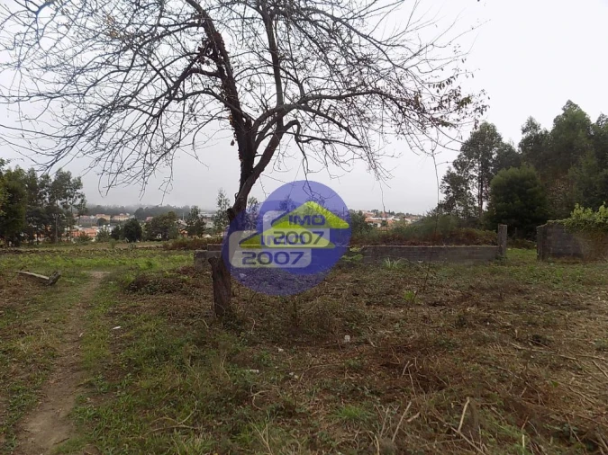 Terreno para Venda em Lourosa Foto 8