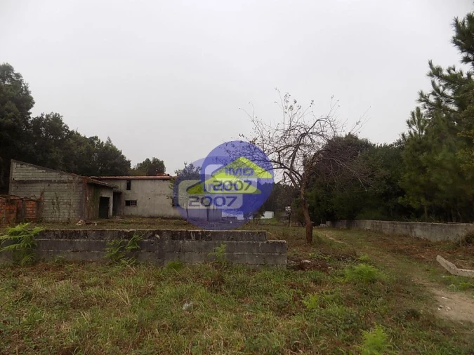 Terreno para Venda em Lourosa Foto 10