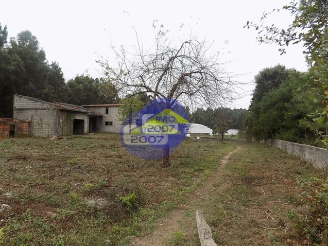 Terreno para Venda em Lourosa Foto 11