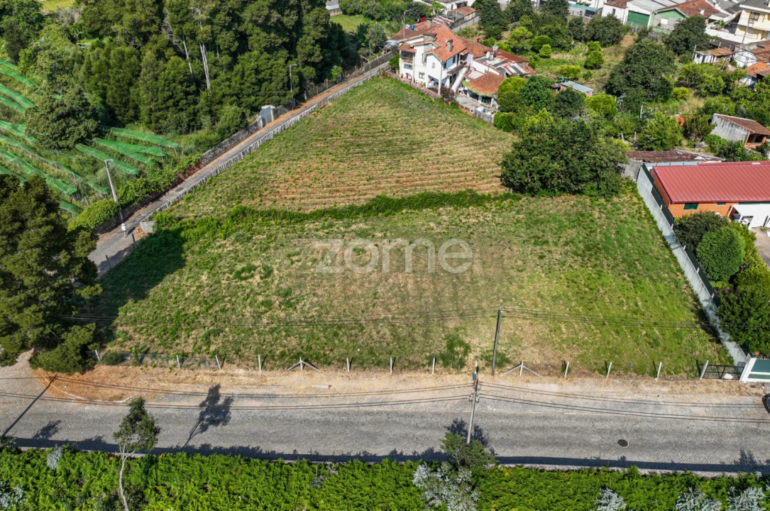 Terreno para Venda em Grijó e Sermonde Foto 6