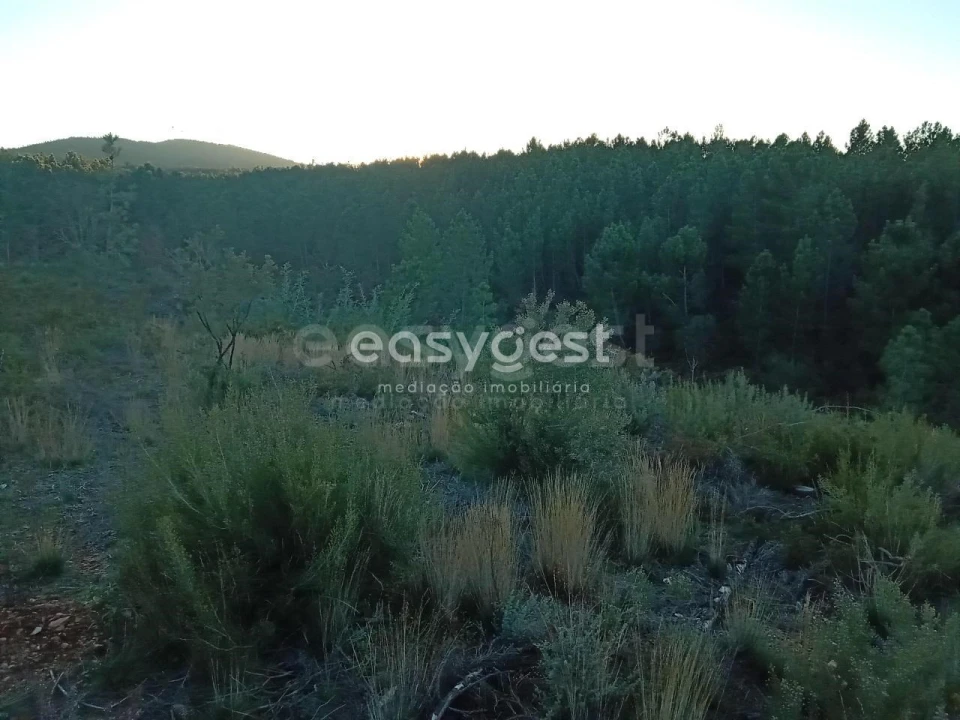 Terreno Agricola ou Rústico para Venda em Souto da Casa Foto 1