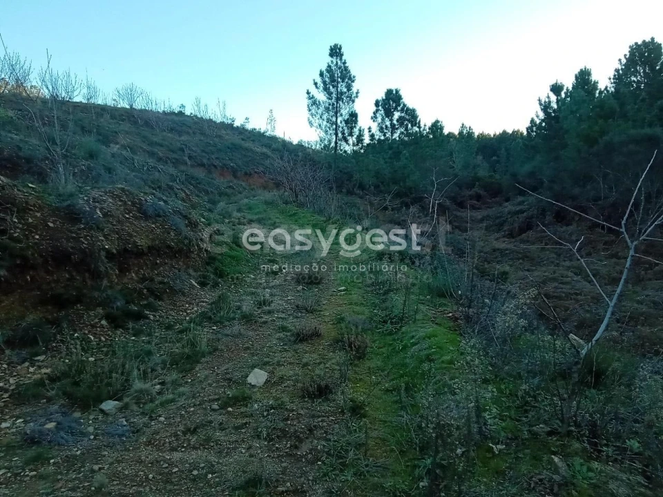Terreno Agricola ou Rústico para Venda em Souto da Casa Foto 2