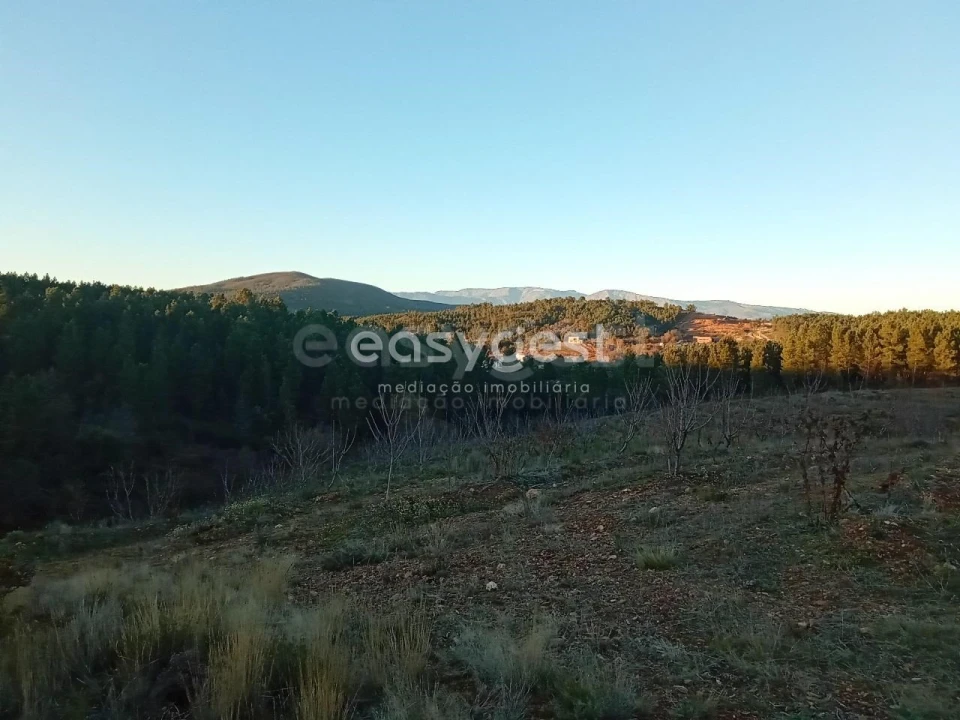 Terreno Agricola ou Rústico para Venda em Souto da Casa Foto 3