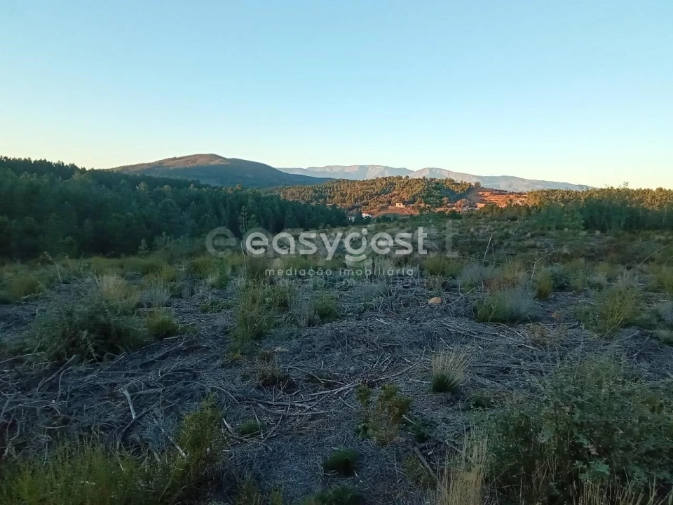 Terreno Agricola ou Rústico para Venda em Souto da Casa Foto 7