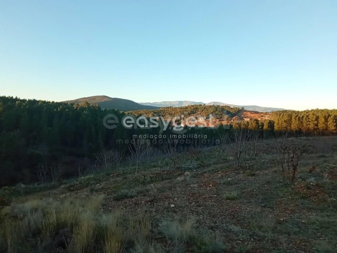 Terreno Agricola ou Rústico para Venda em Souto da Casa Foto 3