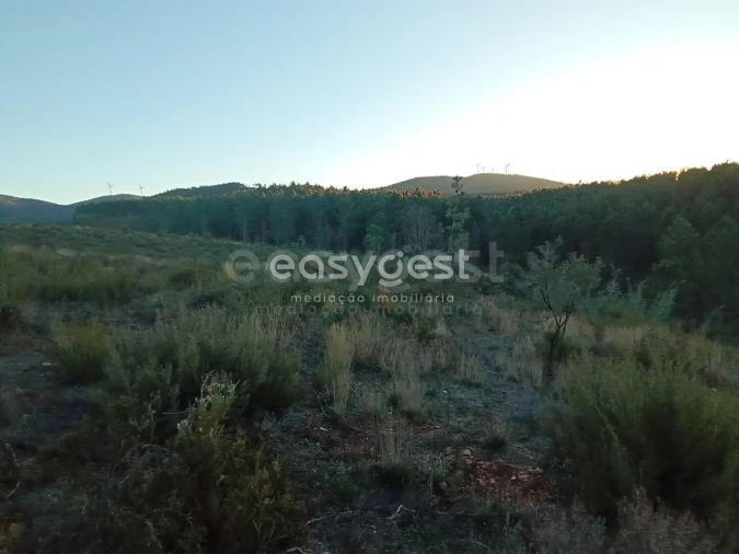 Terreno Agricola ou Rústico para Venda em Souto da Casa Foto 6