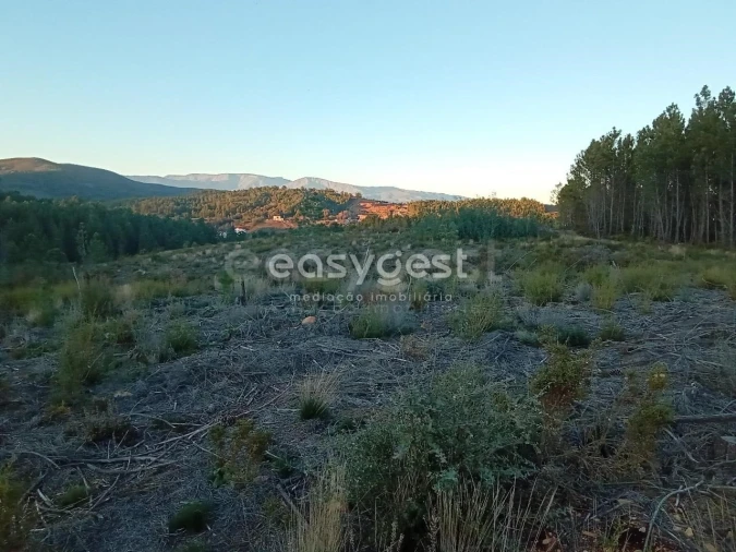 Terreno Agricola ou Rústico para Venda em Souto da Casa Foto 11