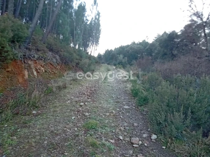 Terreno Agricola ou Rústico para Venda em Souto da Casa Foto 12