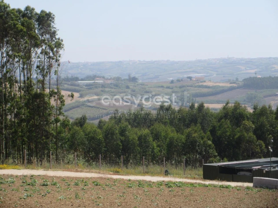 Terreno Agricola ou Rústico para Venda em Lourinhã e Atalaia Foto 11