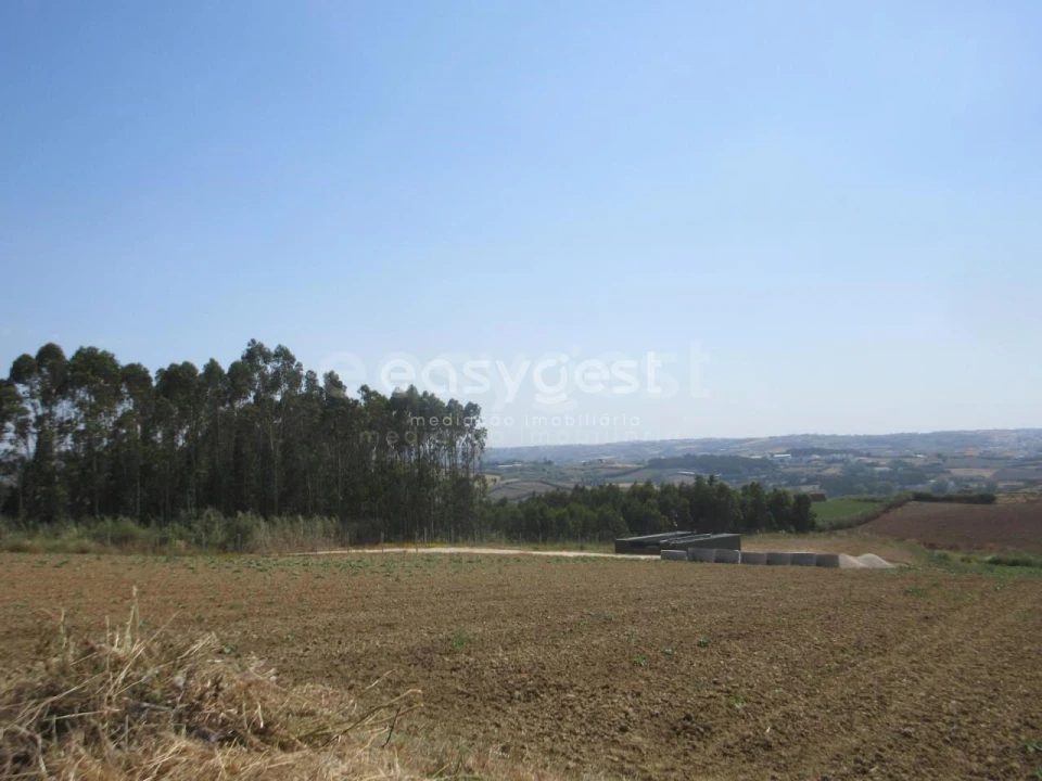 Terreno Agricola ou Rústico para Venda em Lourinhã e Atalaia Foto 12
