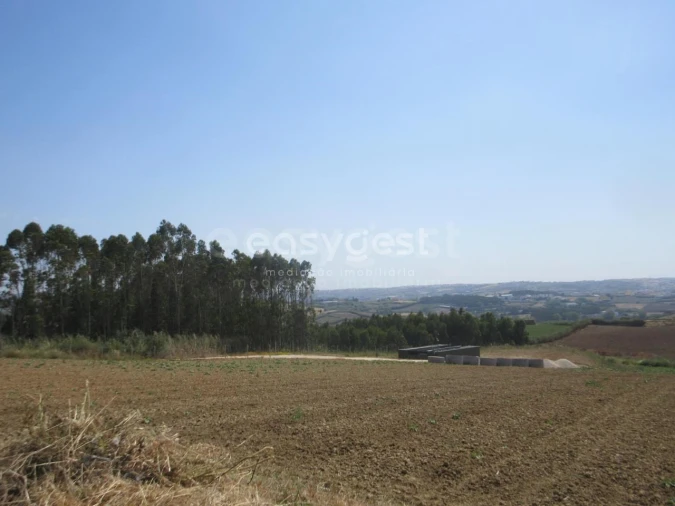 Terreno Agricola ou Rústico para Venda em Lourinhã e Atalaia Foto 12
