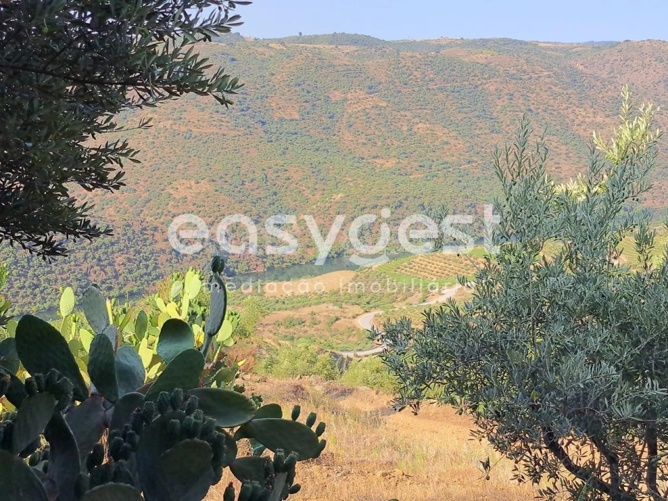 Terreno para Venda em Poiares Foto 1