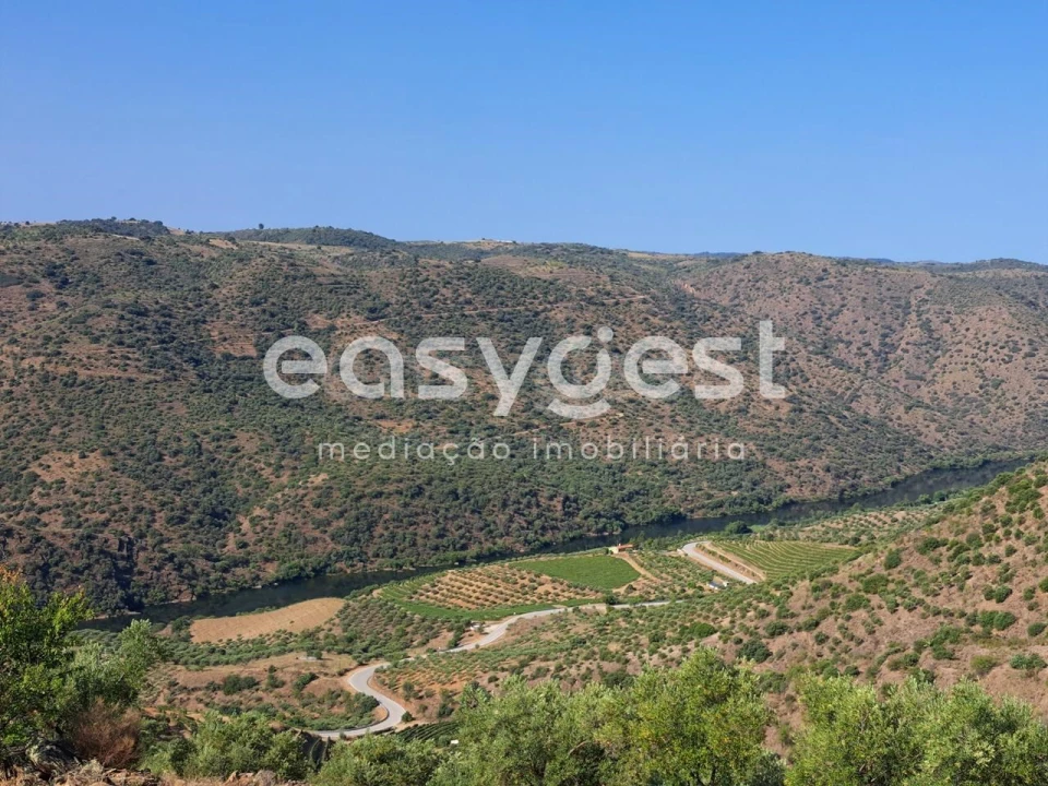 Terreno para Venda em Poiares Foto 3