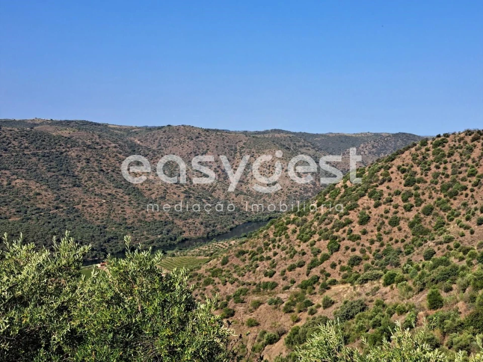 Terreno para Venda em Poiares Foto 6
