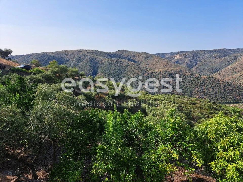 Terreno para Venda em Poiares Foto 9