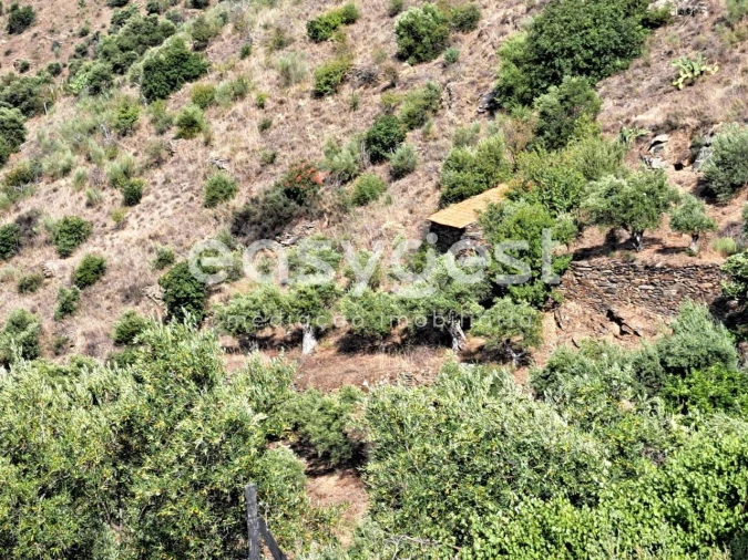 Terreno para Venda em Poiares Foto 5