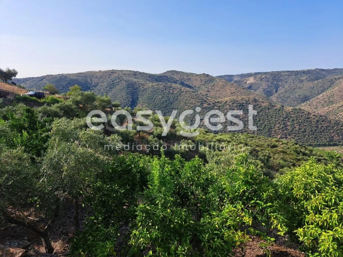 Terreno para Venda em Poiares Foto 9