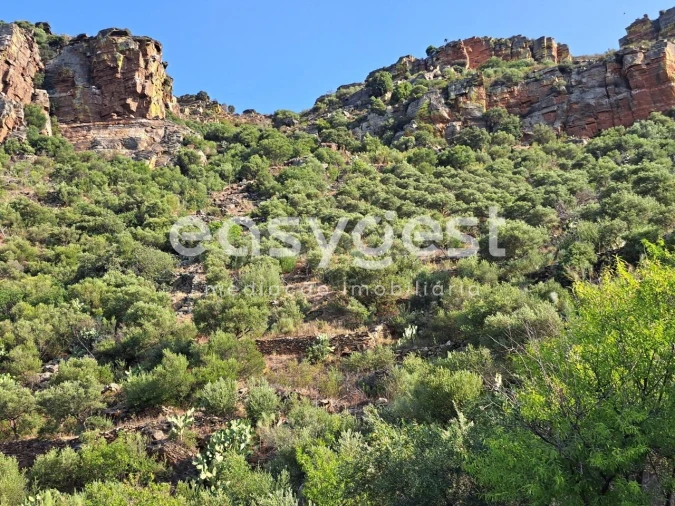 Terreno para Venda em Poiares Foto 14