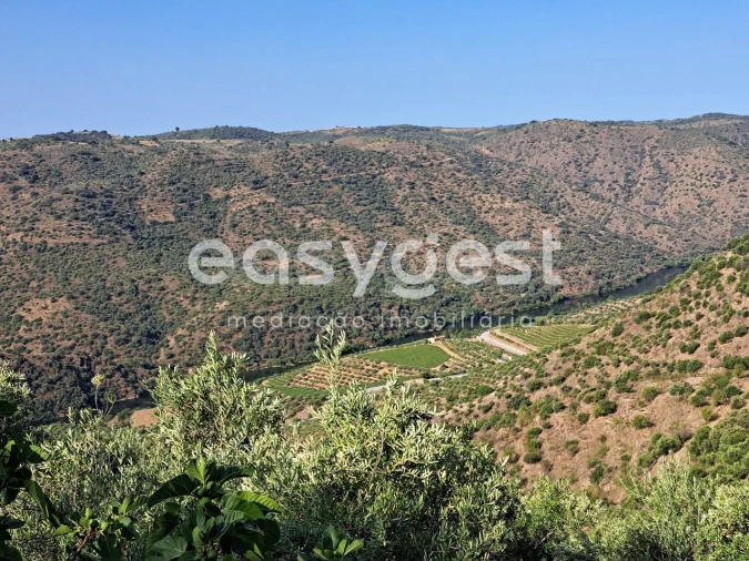 Terreno para Venda em Poiares Foto 15